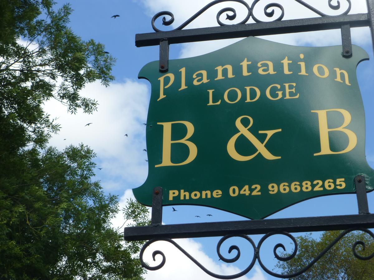 Plantation Lodge Kingscourt Exteriér fotografie